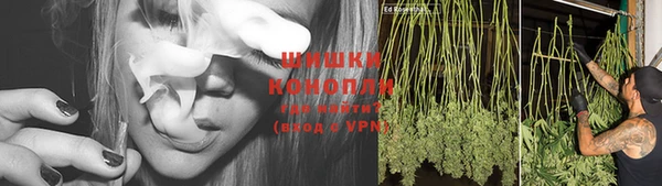 твердый Белокуриха