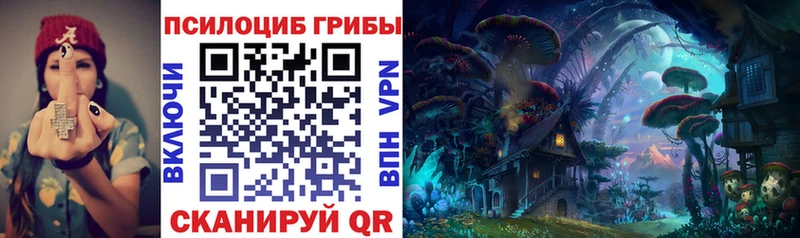 цена   Называевск  Псилоцибиновые грибы Psilocybine cubensis 