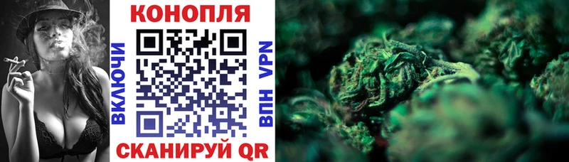 купить наркотик  Называевск  МАРИХУАНА SATIVA & INDICA 